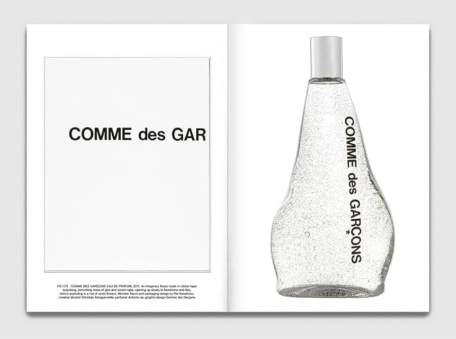 COMME des GARCONS - コム・デ・ギャルソン　本　フランスオリジナル版 Amazon.co.jp: Comme des garcons : 本